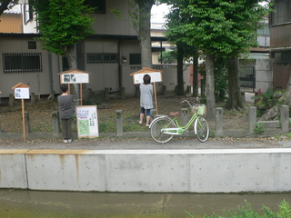 080524-kawazoi 028.jpg