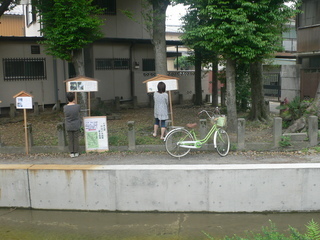 080524-kawazoi20028-thumbnail2.jpg