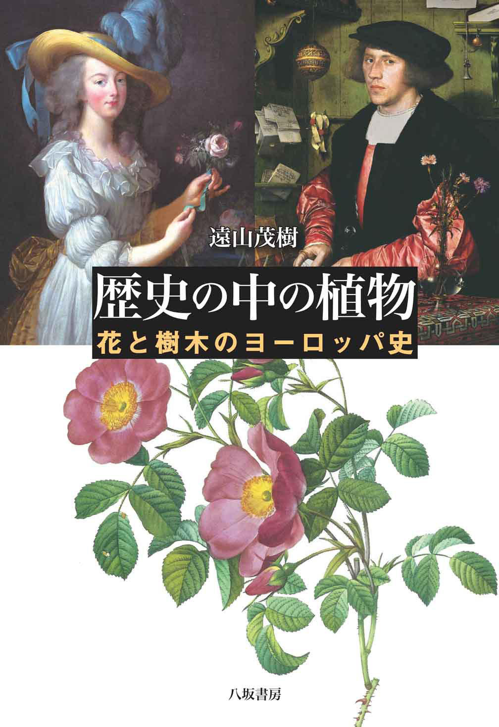 歴史の中の植物.jpg