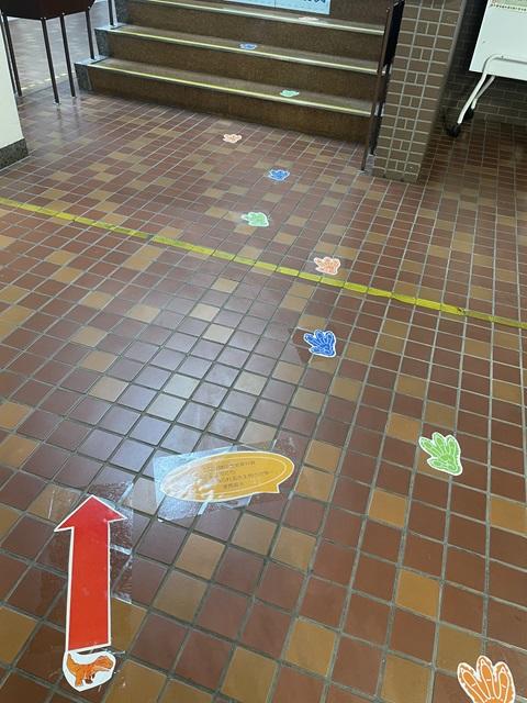 恐竜の足跡の写真