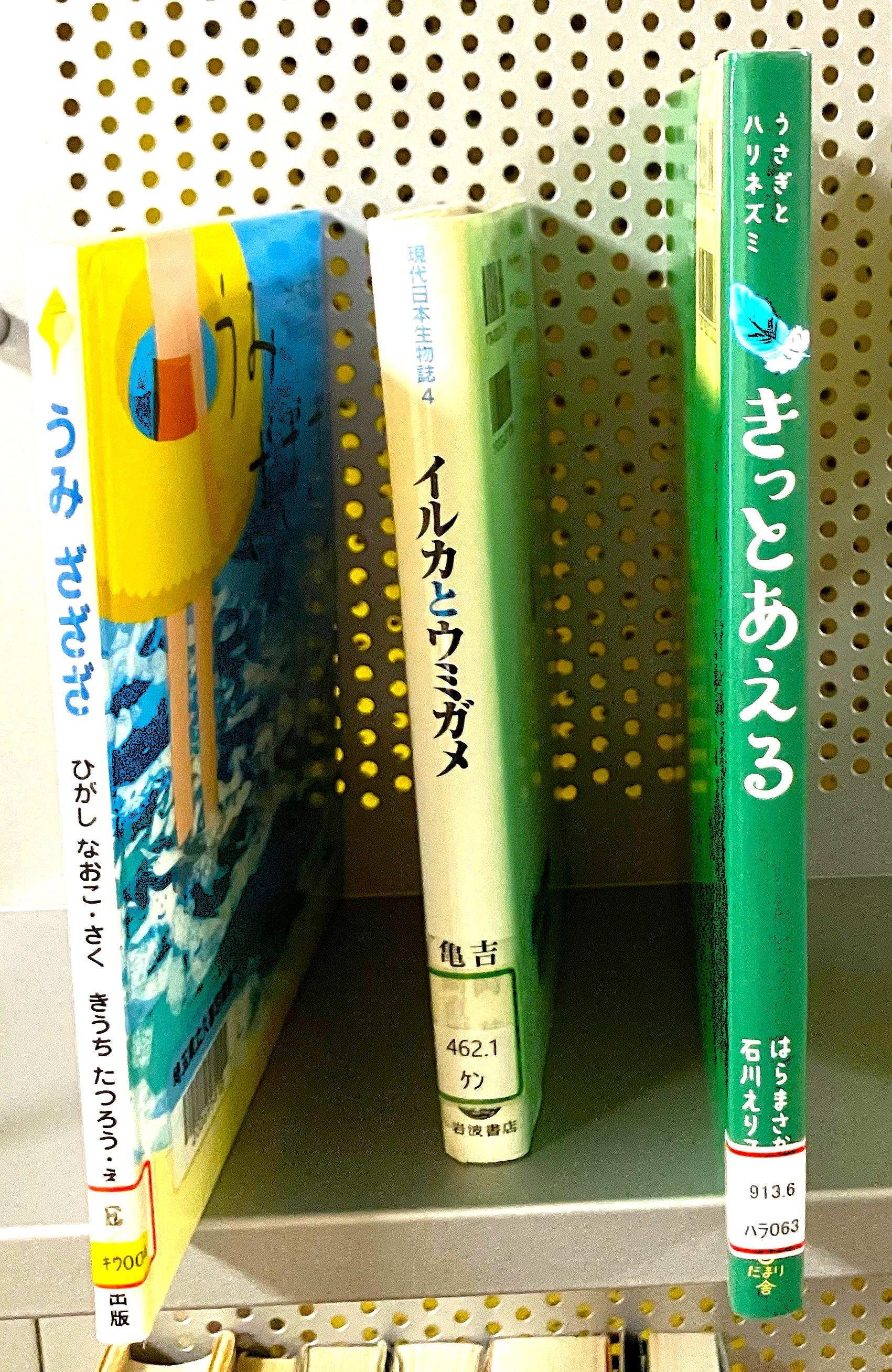図書(うみざざざ イルカとウミガメ きっとあえる).jpg