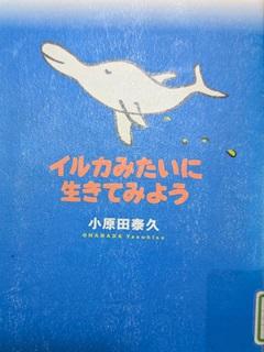 イルカみたいに生きてみよう.jpg