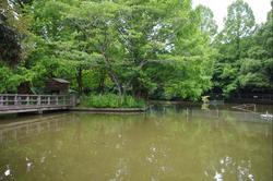 現在の大宮公園の瓢箪池