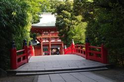 現在の大宮氷川神社