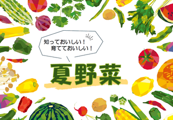 summervegetable.png