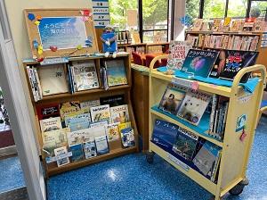資料展「ようこそ!海のせかいへ」を展示している様子