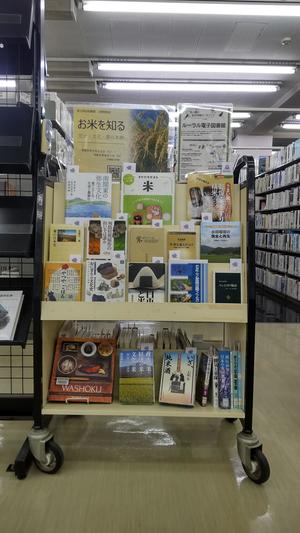 R8 minitenji tenjisyashin okomewoshiru.jpg