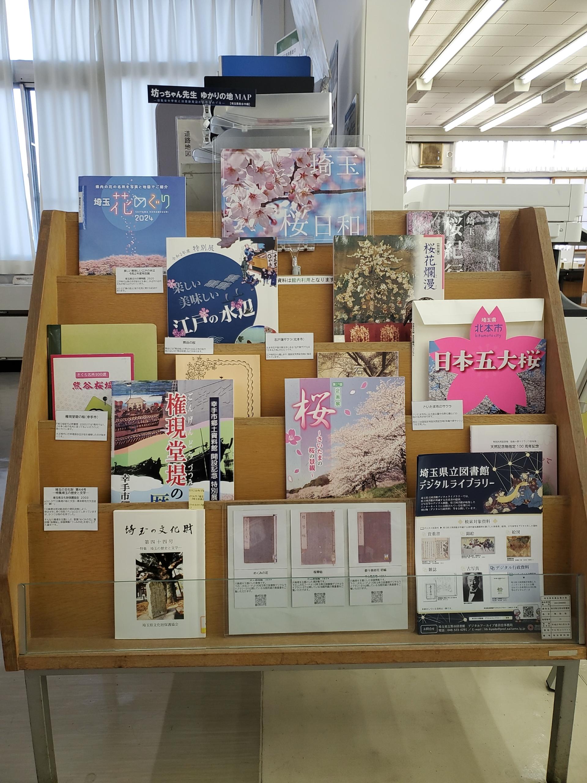 展示風景.jpg