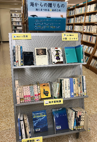ミニ展示_海画像.png