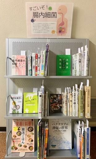 ミニ展示写真