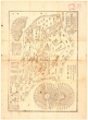 1416925007